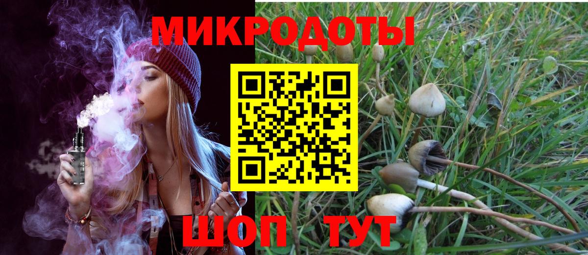 Галлюциногенные грибы GOLDEN TEACHER Тамбов