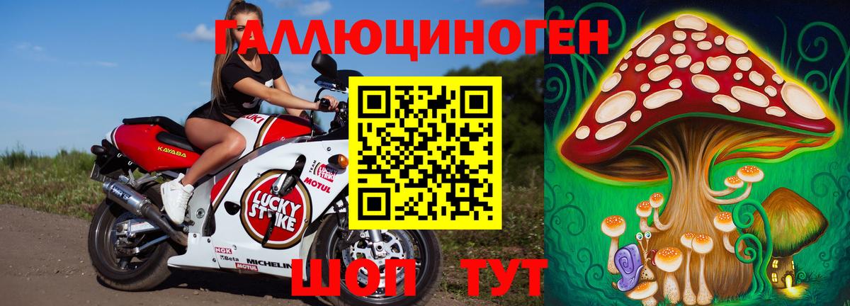 Тамбов  Галлюциногенные грибы MAGIC MUSHROOMS  Вход с VPN  Галлюциногенные грибы GOLDEN TEACHER 